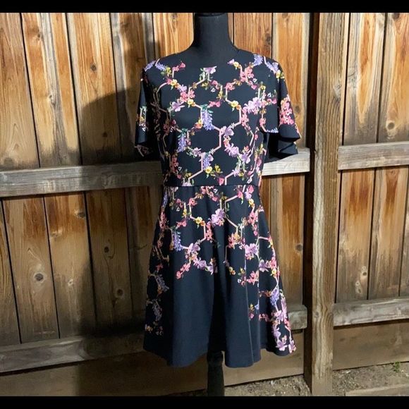 Ted Baker London Vianna dress career pockets flare black floral exposed bell 4